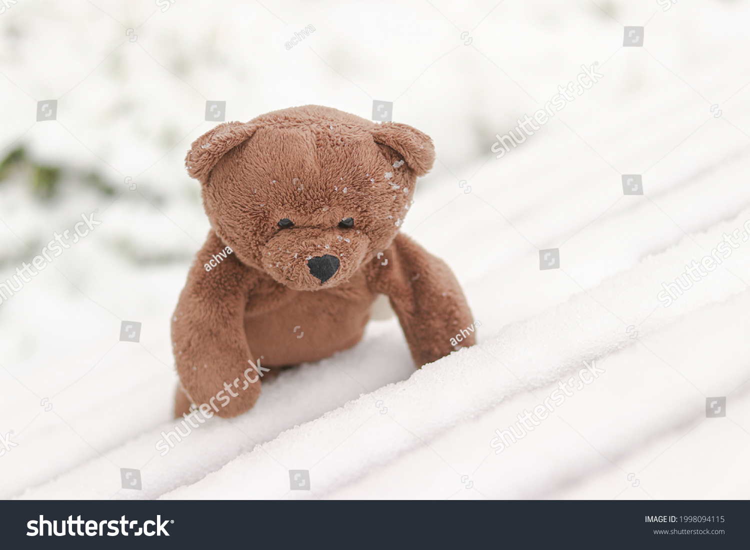 stock-photo-a-bear-climbs-on-snowy-stairs-1998094115.jpg