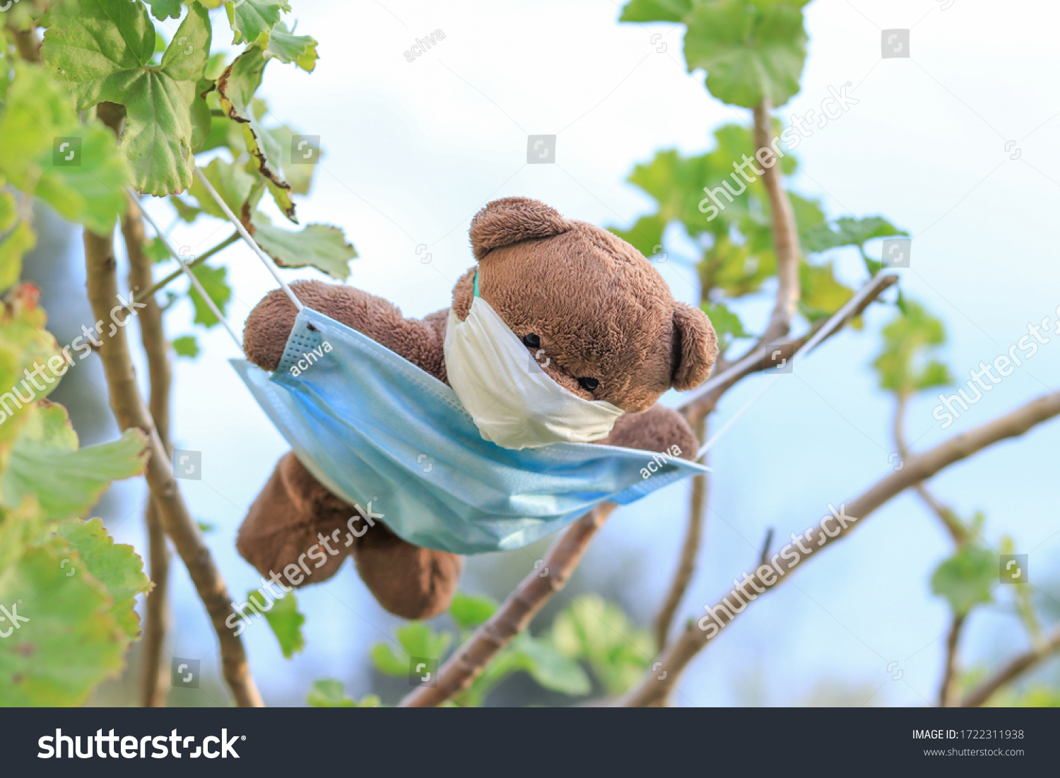 stock-photo-a-bear-dangling-in-nature-on-a-mask-1722311938.jpg