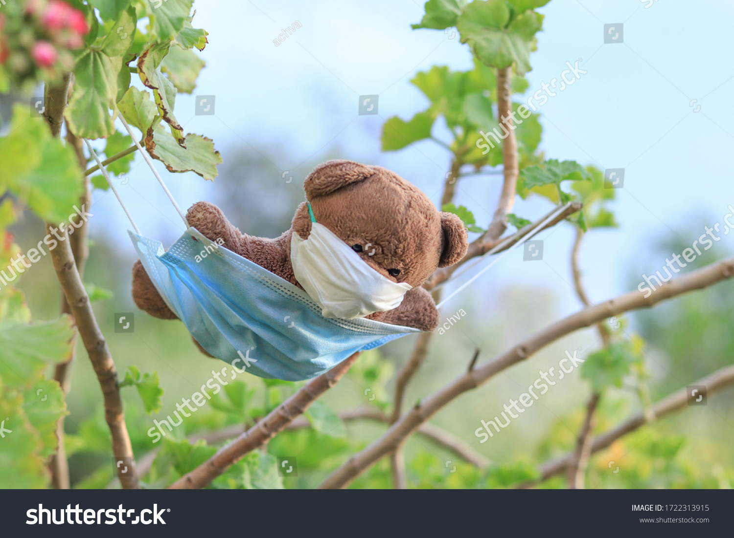 stock-photo-a-bear-dangling-in-nature-on-a-mask-1722313915.jpg