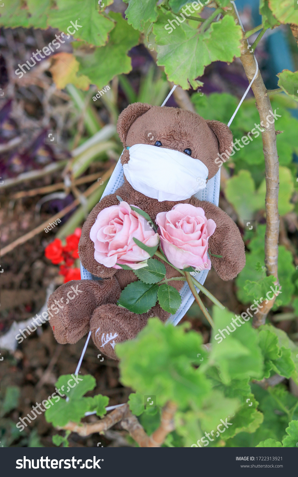 stock-photo-a-bear-dangling-in-nature-on-a-mask-1722313921.jpg