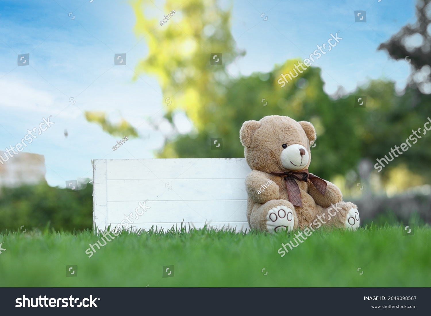 stock-photo-a-bear-is-sitting-next-to-a-white-box-on-a-lawn-in-the-garden-2049098567 (1).jpg