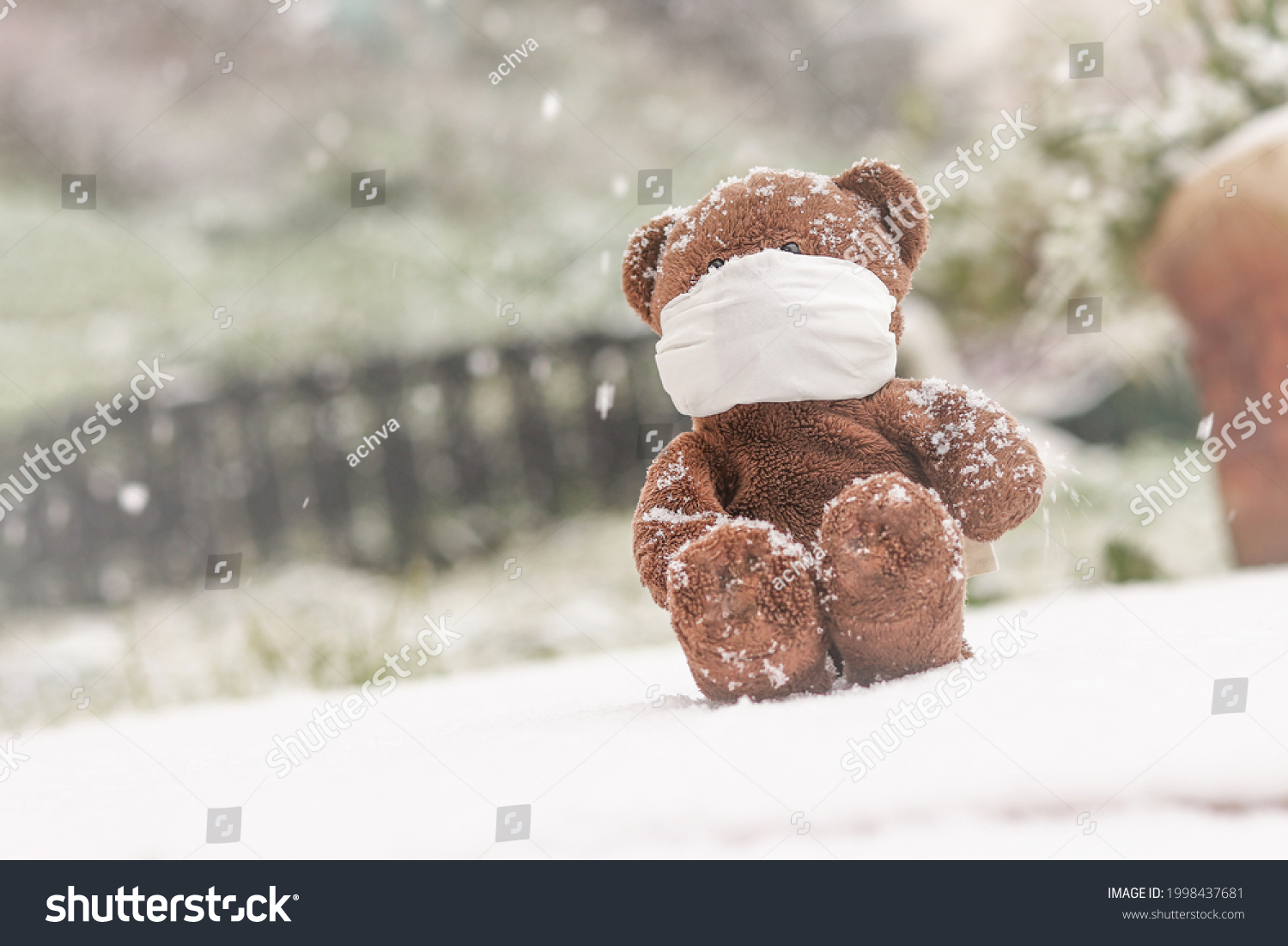 stock-photo-a-bear-with-a-mask-in-the-snow-1998437681.jpg