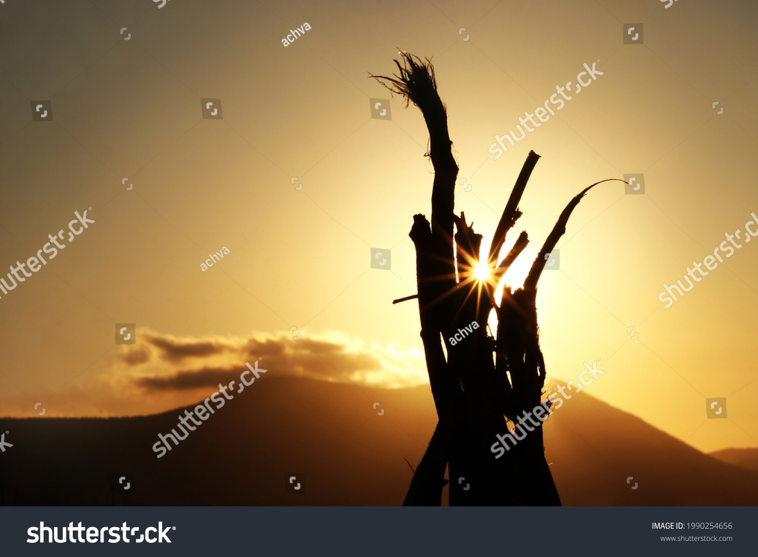 stock-photo-sunset-campfire-trees-and-sunlight-peeping-1990254656.jpg