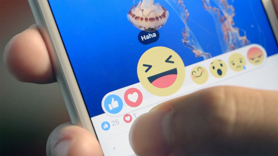 facebook-reactions-like-logo.jpg