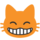 emoji_u1f638.png